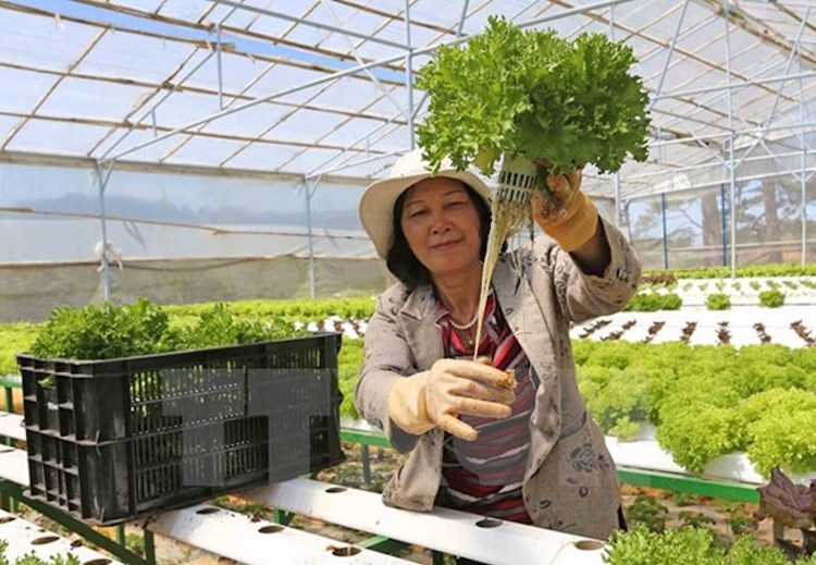 nông nghiệp công nghệ cao