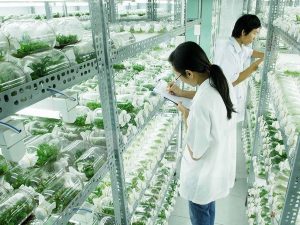 nông nghiệp công nghệ cao