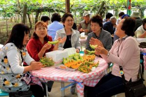 Lễ hội Melon tại Tỉnh Ibaraki
